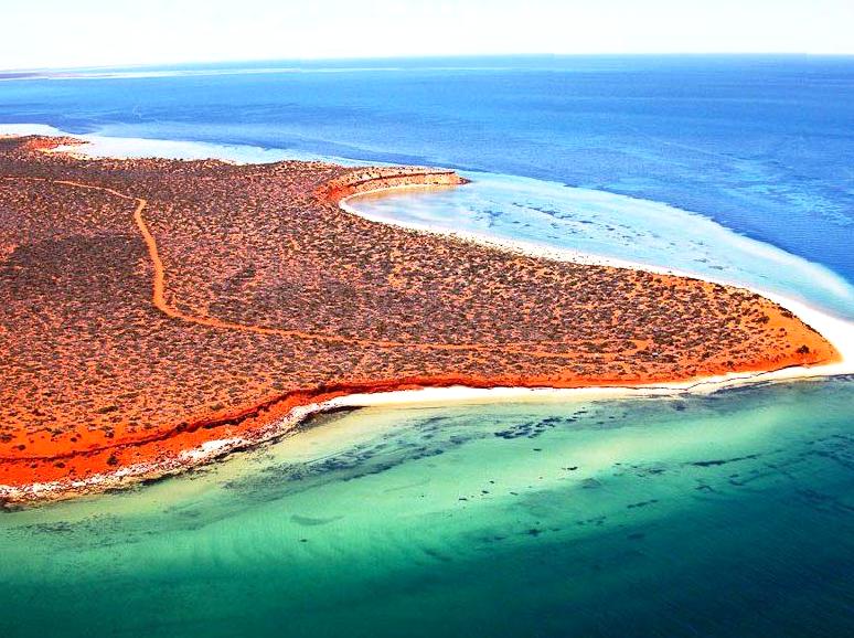 2codeornot2code | Stopping by the Ningaloo Visitor Centre: Plan Your Adventure