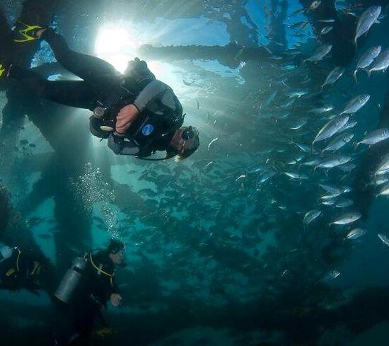 2codeornot2code | Diving at Exmouth Navy Pier: A Unique Experience