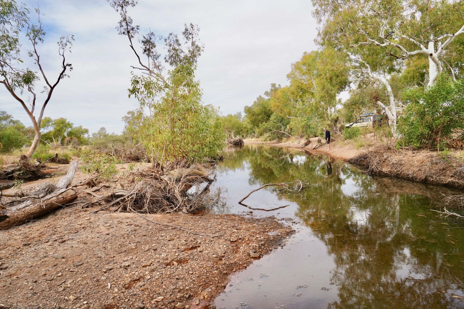 2codeornot2code | Exploring Wapet Creek: Nature and Wildlife