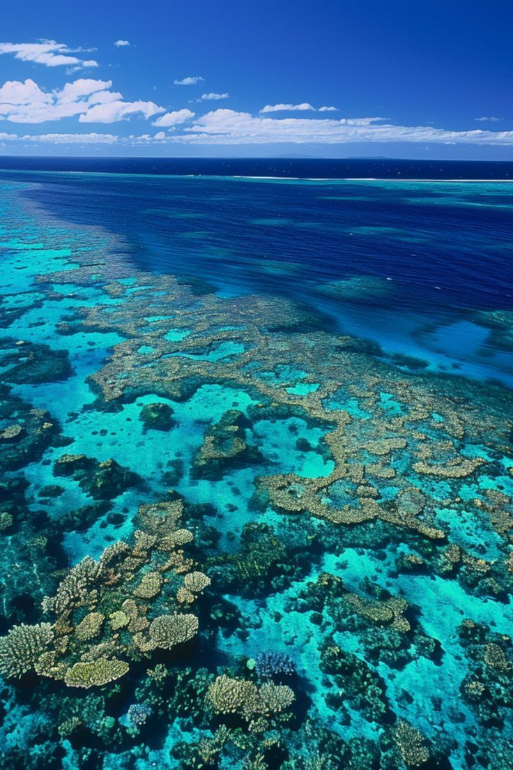 2codeornot2code | The Best Places for Snorkeling in the Great Barrier Reef