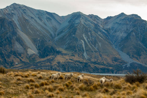 2codeornot2code | Discovering the Scenic Beauty of the High Country