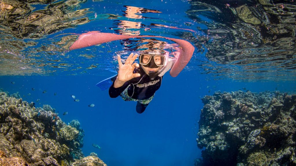2codeornot2code | The Best Places for Snorkeling in the Great Barrier Reef