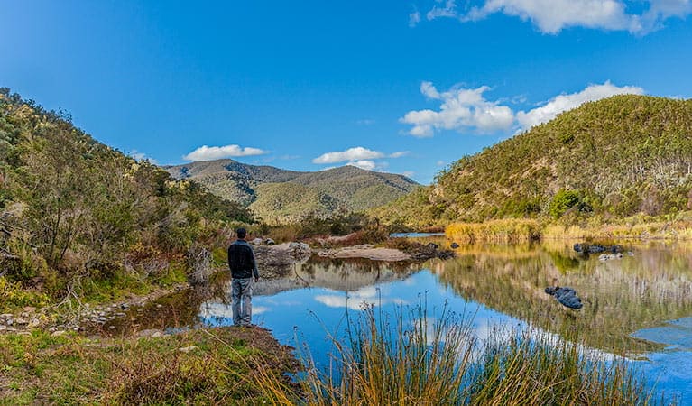 2codeornot2code | A Guide to the Best Scenic Reserves in Australia