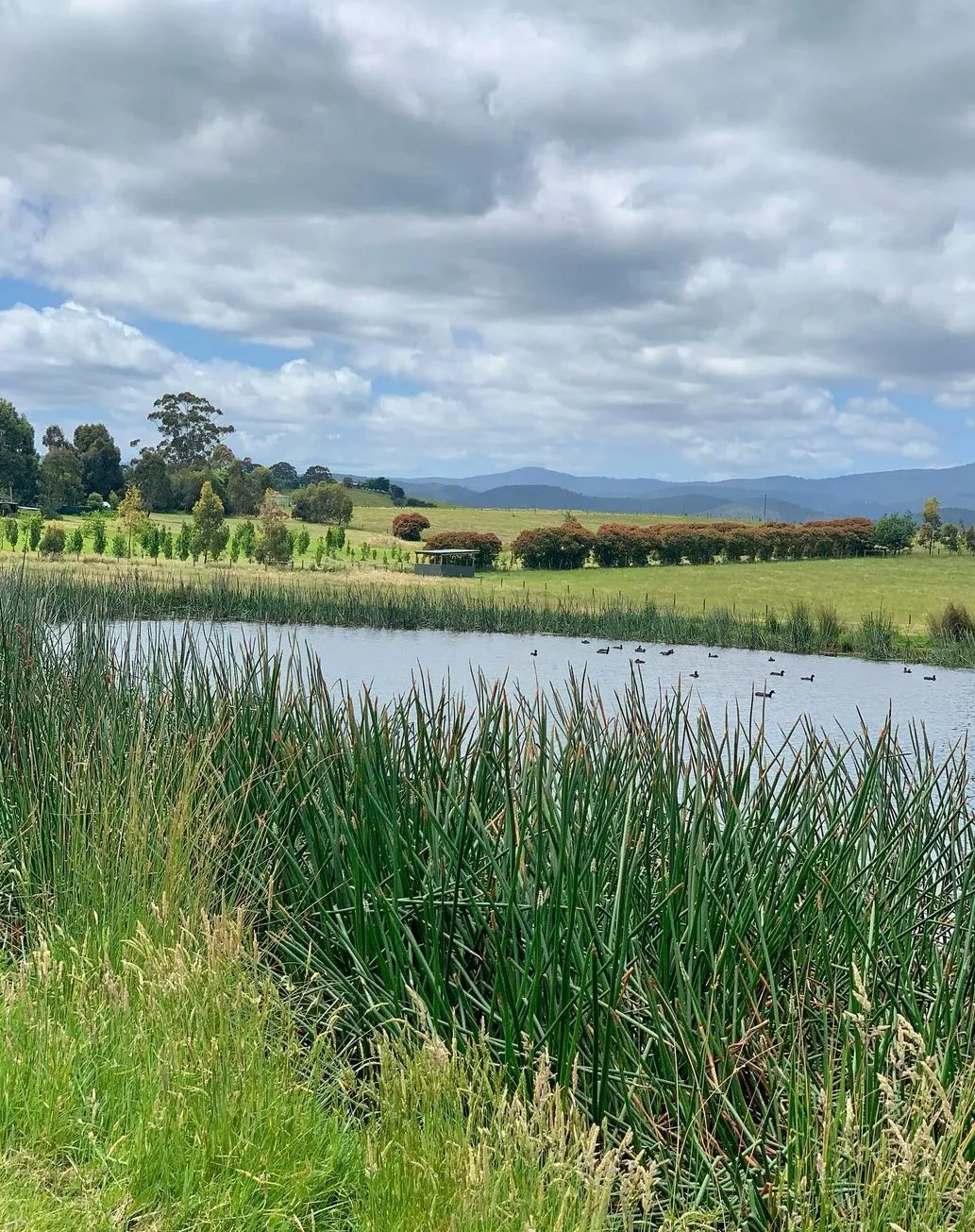 2codeornot2code | Yarra Valley Chocolaterie: Best Things to Do
