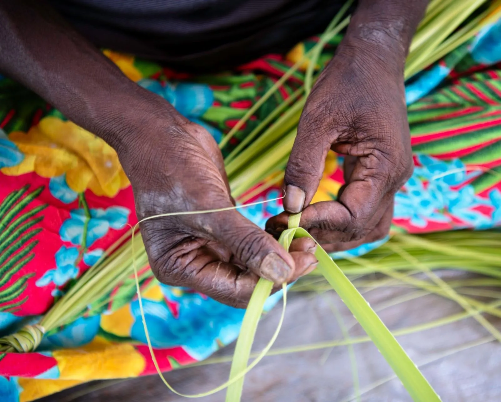 2codeornot2code | How Did Kakadu Get Its Name?